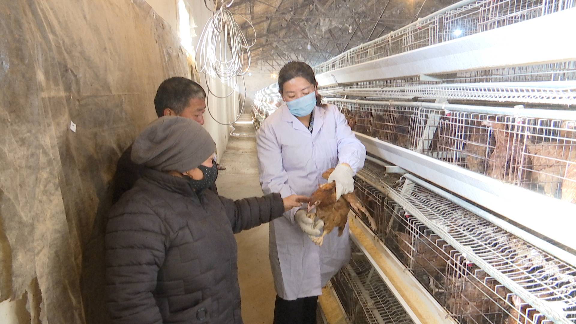 四好.jpg 四好.jpg