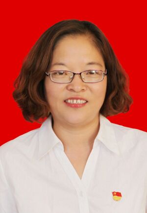 张润枝党委委员(协助党委书记,副书记,支部书记开展各项党务工作)个人