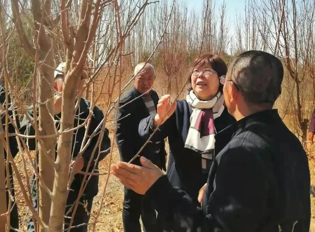 春耕2.jpg 春耕2.jpg