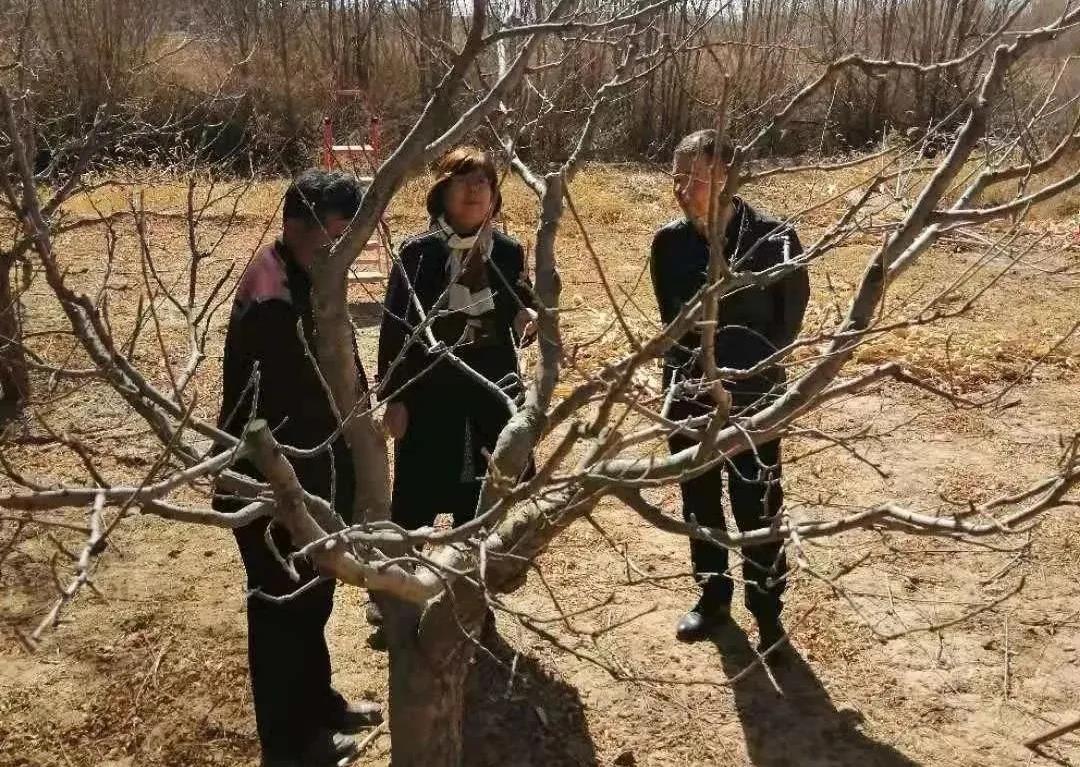 春耕4.jpg 春耕4.jpg